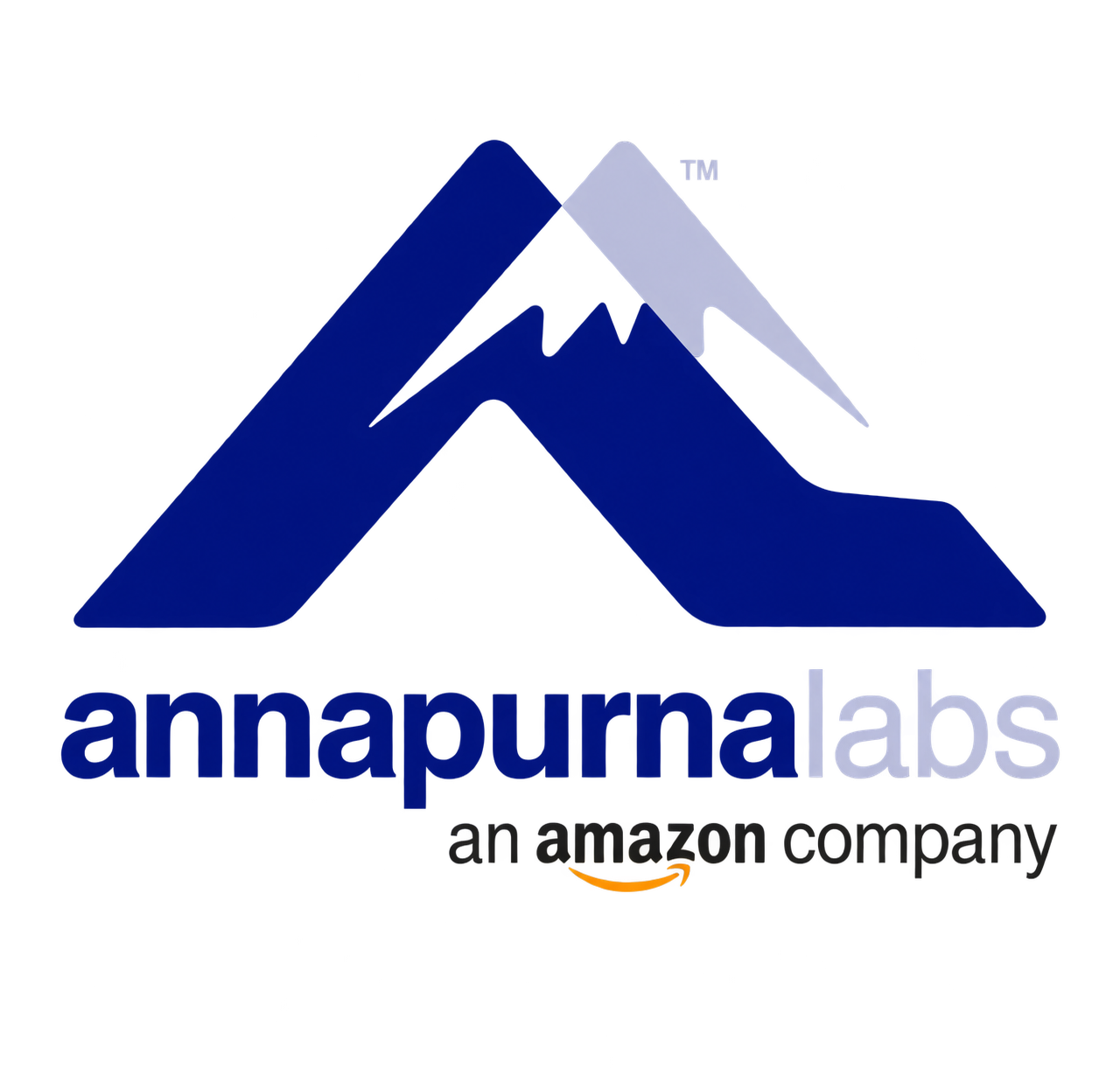 Amazon Annapurna Labs